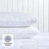 Easycare Expressions Housewife Pillowcase - Pair