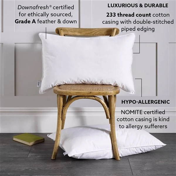 Classic Duck Feather & Down Pillow 4 Classic Duck Feather & Down Pillow - Image 2