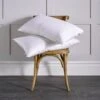 Luxury Goose Down Surround Pillow 2 Luxury Goose Down Surround Pillow -Hotel Supply Store 2662 1 Zoom