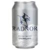 Radnor Hills Sparkling Spring Water Cans 330ml - Pack Of 24 -Hotel Supply Store 4089 2 1 Zoom