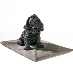 Spare Cover For Odour-Control Dog Mat -Hotel Supply Store 5743 3 Zoom