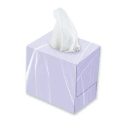 Cloudsoft 2 Ply Tissues - Case Of 24